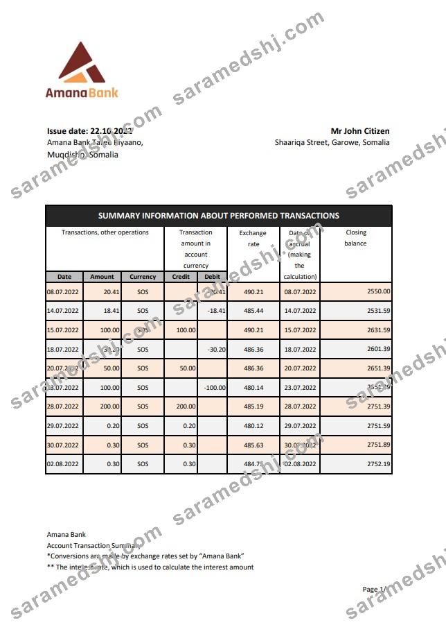 Somalia Amana bank statement xls